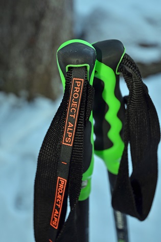 skistok PAlr